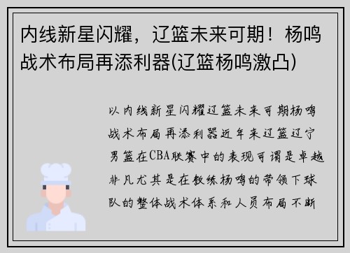 内线新星闪耀，辽篮未来可期！杨鸣战术布局再添利器(辽篮杨鸣激凸)
