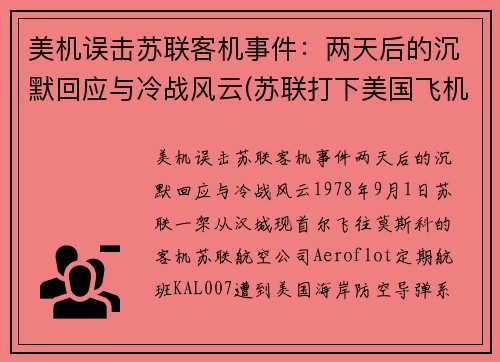 美机误击苏联客机事件：两天后的沉默回应与冷战风云(苏联打下美国飞机u2)
