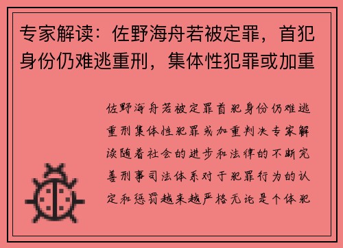 专家解读：佐野海舟若被定罪，首犯身份仍难逃重刑，集体性犯罪或加重判决